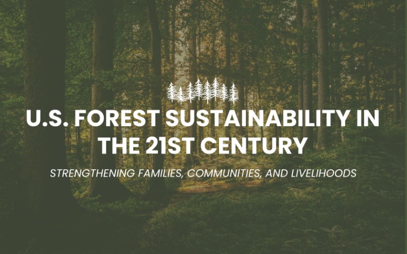 U.S. Forest Sustainability in the 21st Century: Infographic